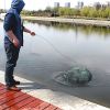 Fishing Trap Net Portable Folded Fishing Bait Trap Shrimp Minnow Crab Bait Net 6 Sides 6 Holes Crayfish Cast Mesh Trap Automatic