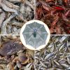 Foldable Fishing Bait Net Trap Crab Net Shrimp Minnow Crawdad Fish Cast Dip Cage Mesh Automatic Contraction